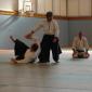 stage aikido bordeaux 128