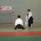 stage aikido bordeaux 058