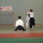 stage aikido bordeaux 059